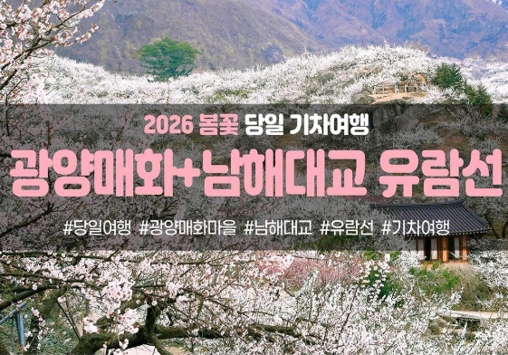 [경상권출발]광양매화마을&남해대교 유람선(당일)