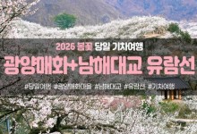 [경상권출발]광양매화마을&남해대교 유람선(당일)