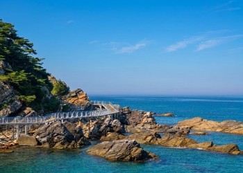 [수도권,대전출발]강릉 안목해변&정동진 바다부채길(당일)