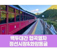 [경상권]백두대간협곡열차&정선5일장,화암동굴(당일)