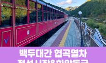 [경상권]백두대간협곡열차&정선5일장,화암동굴(당일)