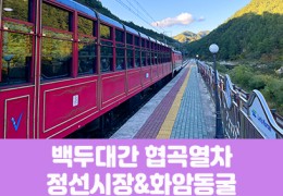 [경상권]백두대간협곡열차&정선5일장,화암동굴(당일)