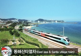 [KTX+동해산타열차]낭만의 정동진과 분천산타마을+청량산 당일여행