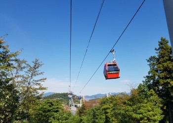 [부전역출발] 여수 알짜베기 당일투어!! (요트세일링~수산시장~해상케이블카~오동도)