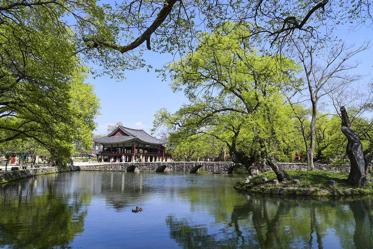 KTX- 섬진강변 · 봄꽃나드리 기차여행(1박2일)