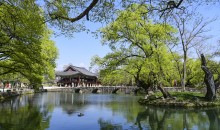 KTX- 섬진강변 · 봄꽃나드리 기차여행(1박2일)