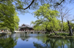 KTX- 섬진강변 · 봄꽃나드리 기차여행(1박2일)