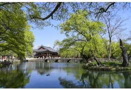 KTX- 섬진강변 · 봄꽃나드리 기차여행(1박2일)