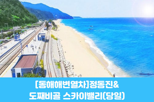 수도권/경상권출발-[동해 해변열차]정동진&도째비골 스카이밸리(당일)