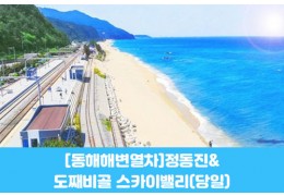 수도권/경상권출발-[동해 해변열차]정동진&도째비골 스카이밸리(당일)