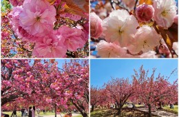 [KTX] 밀양+경주 1박2일 #밀양호텔아리나