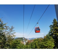 [수도권/충청권/호남권출발] 여수 알짜베기 당일투어!! (요트세일링~수산시장~해상케이블카~오동도)