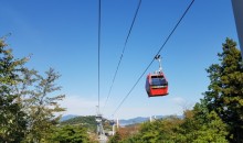 [수도권/충청권/호남권출발] 여수 알짜베기 당일투어!! (요트세일링~수산시장~해상케이블카~오동도)