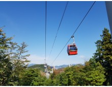 [수도권/충청권/호남권출발] 여수 알짜베기 당일투어!! (요트세일링~수산시장~해상케이블카~오동도)