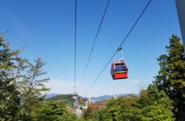 [수도권/충청권/호남권출발] 여수 알짜베기 당일투어!! (요트세일링~수산시장~해상케이블카~오동도)