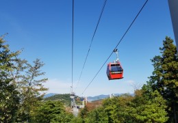 [수도권/충청권/호남권출발] 여수 알짜베기 당일투어!! (요트세일링~수산시장~해상케이블카~오동도)