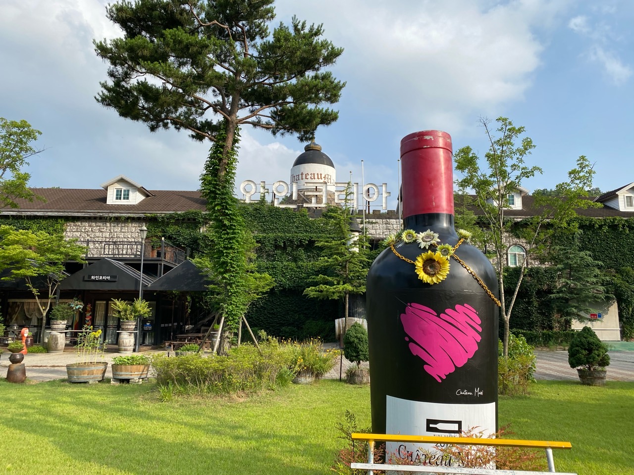 [국악와인열차] 3월 7,24일 영동 와이너리 / 김천 직지사+사명대사공원