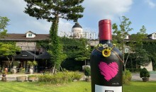 [국악와인열차] 3월 7,24일 영동 와이너리 / 김천 직지사+사명대사공원