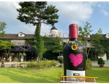 [국악와인열차] 3월 7,24일 영동 와이너리 / 김천 직지사+사명대사공원