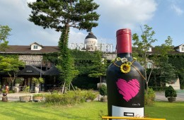 [국악와인열차] 3월 7,24일 영동 와이너리 / 김천 직지사+사명대사공원