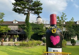 [국악와인열차] 3월 7,24일 영동 와이너리 / 김천 직지사+사명대사공원