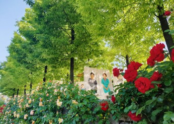 [국악와인열차] 5월 25, 31일 곡성 세계장미축제 / 남원 지리산 허브밸리