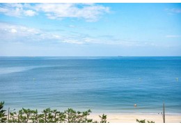 [5명이상 무조건출발] [서해금빛열차] 소규모로 즐기는 보령자유여행 (교통/입장료포함)