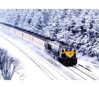 태백산 눈축제ㆍ태백시내야경 기차여행(당일) - 10:40 출발