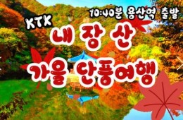 KTX - 가을여행의 1번지!! 내장산(내장사)가을단풍 여행 (당일)- 10:32
