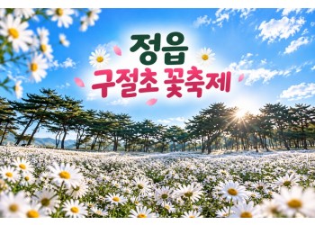 [수도권/충청권/경상권/호남권출발] 정읍 구절초 꽃축제(당일)