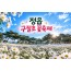 [수도권/충청권/경상권/호남권출발] 정읍 구절초 꽃축제(당일)