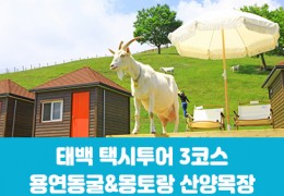 [태백택시투어 3코스]용연동굴&몽토랑 산양목장(당일)