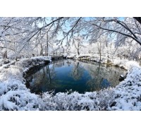 ◆겨울축제◆[무궁화호-태백역]순백의 설레임! 태백산 눈축제 눈꽃여행