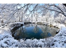 ◆겨울축제◆[무궁화호-태백역]순백의 설레임! 태백산 눈축제 눈꽃여행