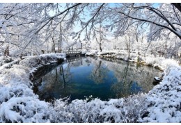 ◆겨울축제◆[무궁화호-태백역]순백의 설레임! 태백산 눈축제 눈꽃여행