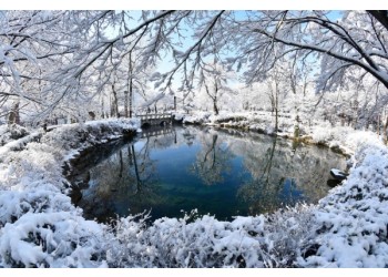 ◆겨울축제◆[무궁화호-태백역]순백의 설레임! 태백산 눈축제 눈꽃여행