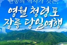 [무궁화호] 단종의 역사가 깃든 영월 청령포&장릉&청풍케이블카 당일 기차여행
