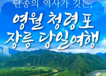 [무궁화호] 단종의 역사가 깃든 영월 청령포&장릉&청풍케이블카 당일 기차여행