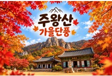 [수도권/충청권/호남권/경산권출발] ★가을단풍★주왕산&주산지(당일)