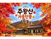 [수도권/충청권/호남권/경산권출발] ★가을단풍★주왕산&주산지(당일)