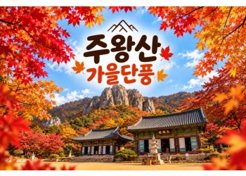 [수도권/충청권/호남권/경산권출발] ★가을단풍★주왕산&주산지(당일)