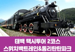 [태백택시투어 2코스]통리탄탄파크&스위치백트레인(당일)
