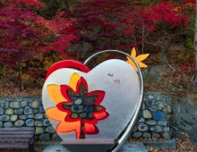 [KTX이음] 백두대간 협곡열차 가을 단풍 하루 기차여행 (서울출발)