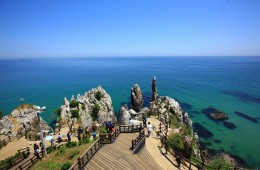 [부전역출발] KTX 이음 - 정동진 & 추암촛대바위 & 동해 논골담길 & 묵호항 여행 (당일)