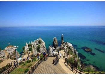 [부전역출발] KTX 이음 - 정동진 & 추암촛대바위 & 동해 논골담길 & 묵호항 여행 (당일)