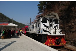 정동진 바다+협곡열차(V-train)+철암-승부-양원-분천-소수서원[당일여행] 2식(중/석식)제공