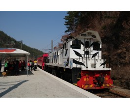 정동진 바다+협곡열차(V-train)+철암-승부-양원-분천-소수서원[당일여행] 2식(중/석식)제공