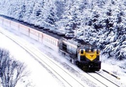 [특별열차] 동해산타열차 & 태백산눈꽃 & 정동진 & 환선굴 & 묵호항 여행(1박2일)