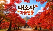 [수도권/충청권/경상권출발]★가을단풍★내소사 단풍&채석강(당일)