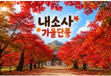 [수도권/충청권/경상권출발]★가을단풍★내소사 단풍&채석강(당일)